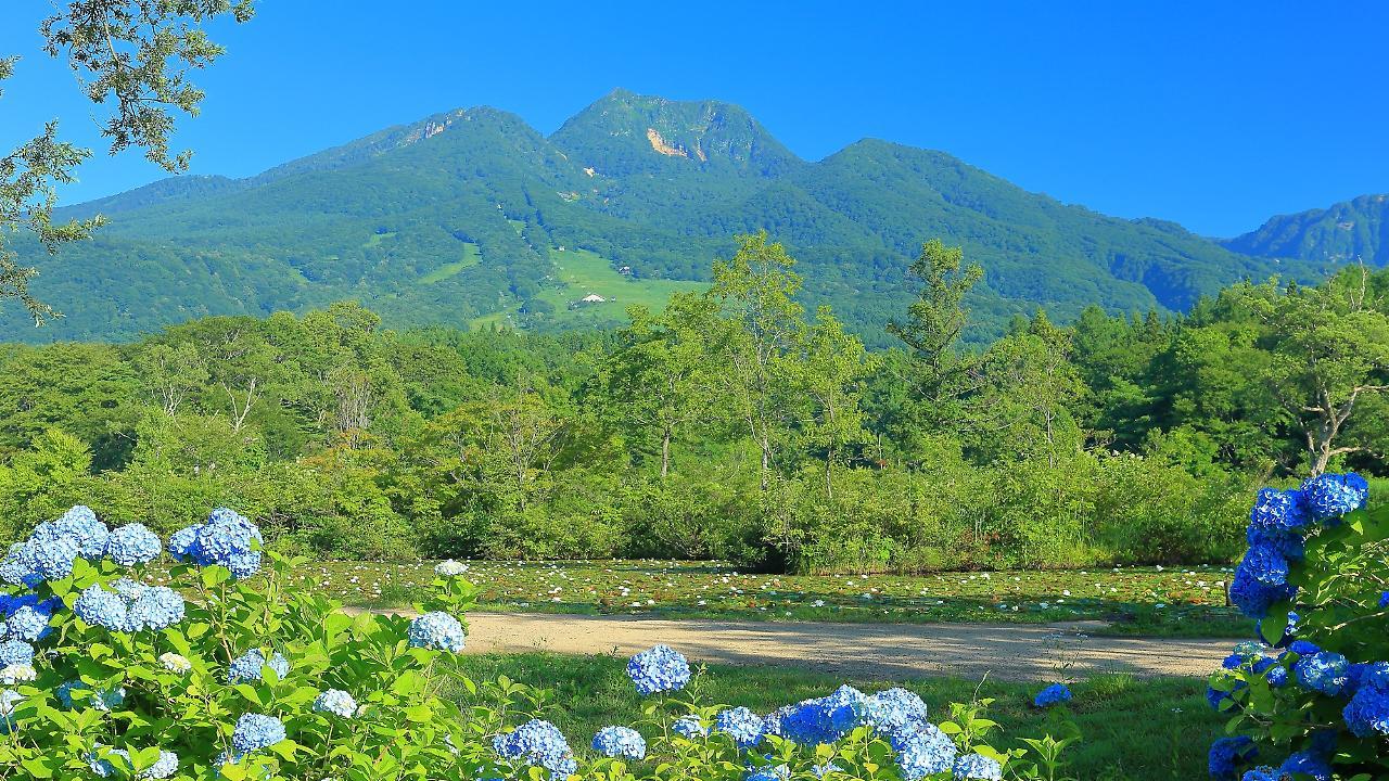 Ryokan Okayama Myoko Εξωτερικό φωτογραφία